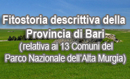 FITOSTORIA