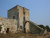 immagini