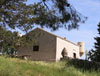 immagini