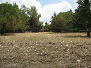 foto murgia