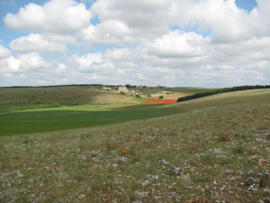 foto parco