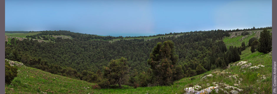 panorama