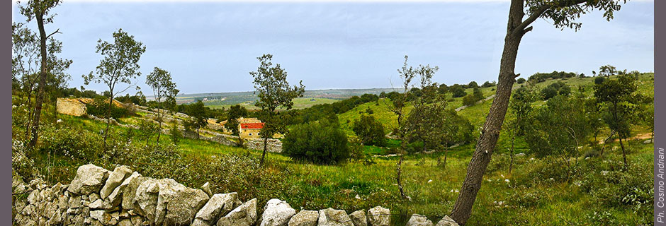panorama