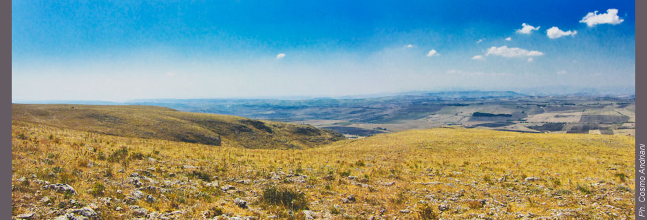 panorama