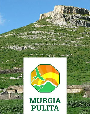 logo app