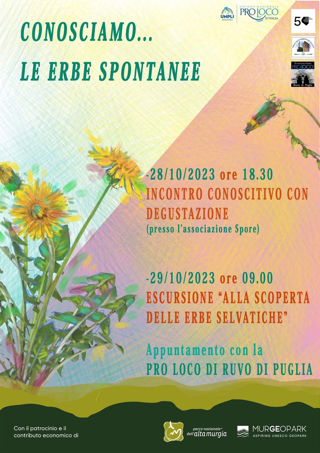 Conosciamo le erbe spontanee