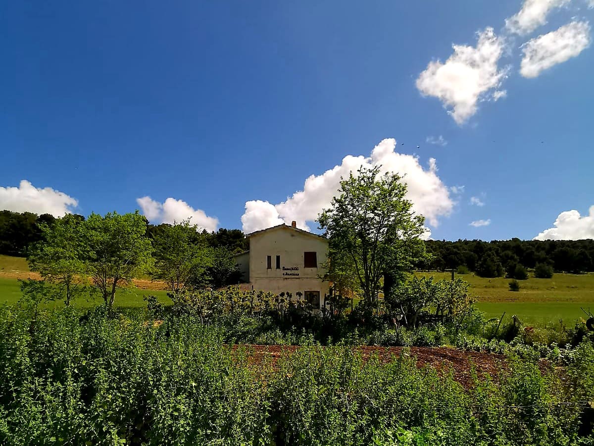 Bosco di Acquatetta