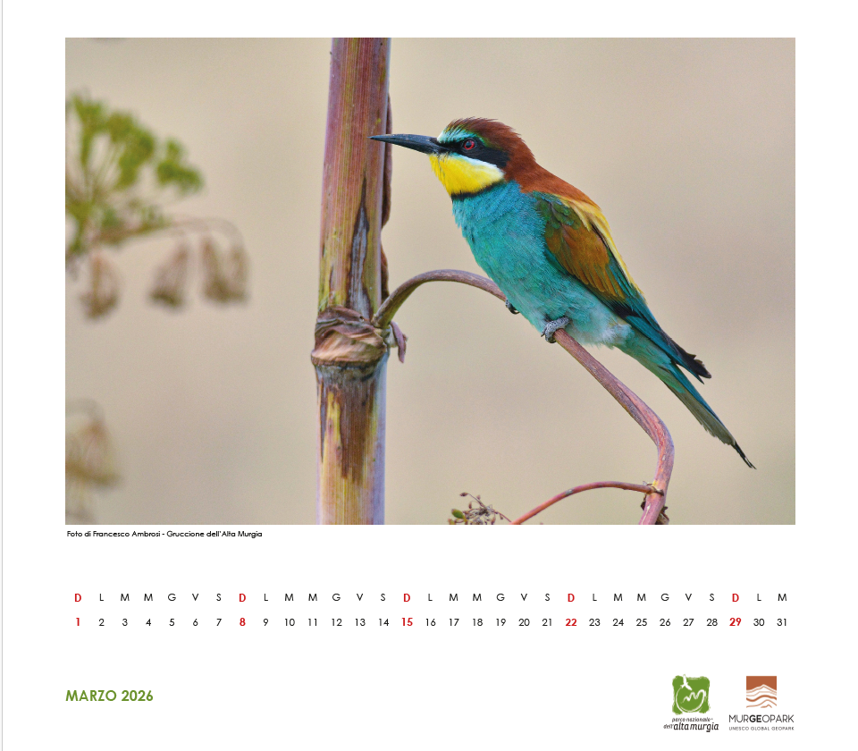 Calendario_febbraio_2026