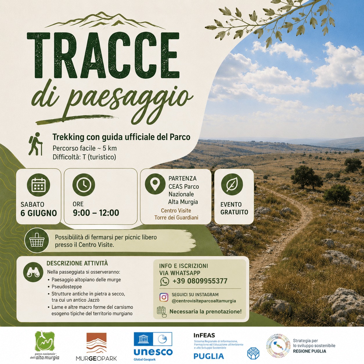 Tracce
