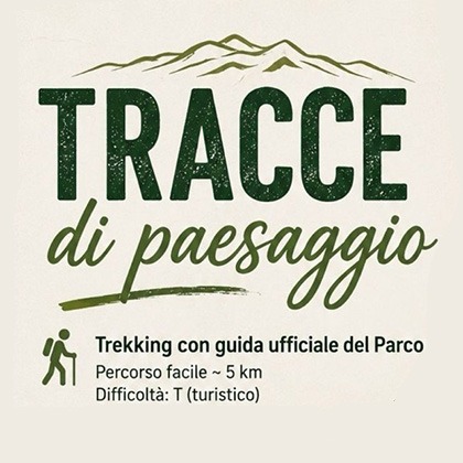 Tracce di paesaggio
