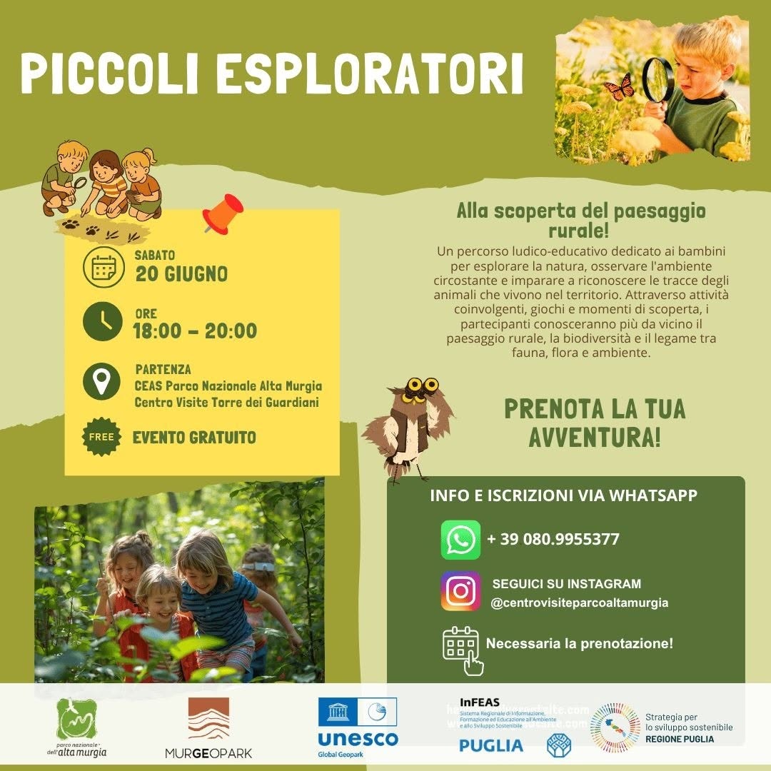 Piccoli esploratori