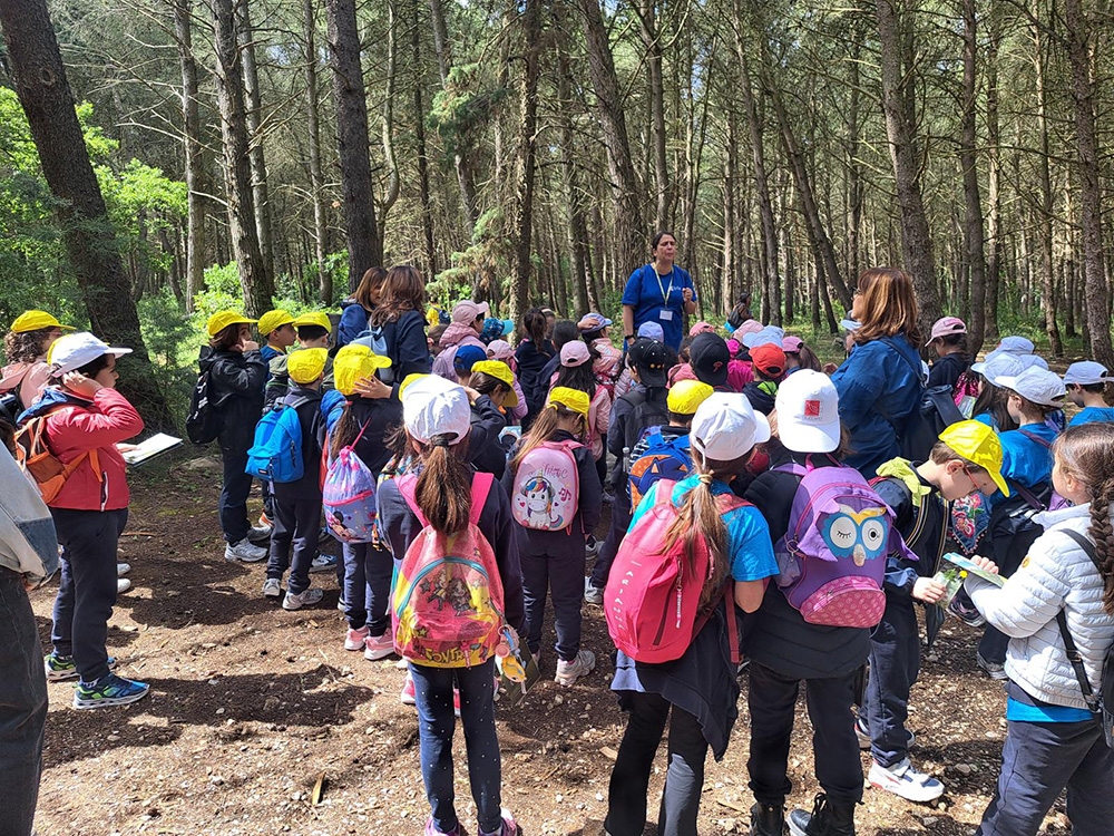 Foto bambini che visitano una foresta