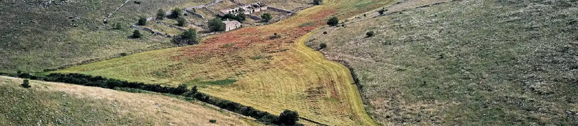 Immagine calendario Giugno