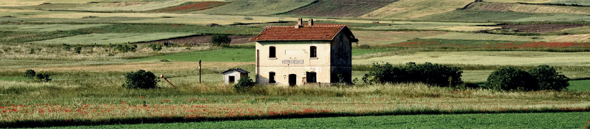 Immagine calendario Luglio