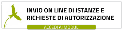 Accedi all'inserimento delle istanze on line