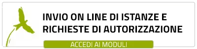 Accedi all'inserimento delle istanze on line