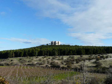 06 Suoni della Murgia nel parco 