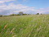 AGRICOLTURA 