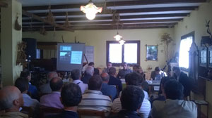 Alta Murgia incontro cinghiali 