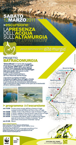 BATRACOMURGIAp(1) 