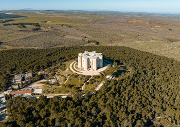 Bosco Castel del Monte Ph Antonio Chiarellap 