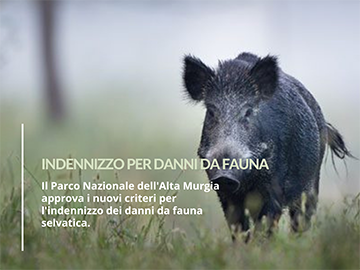 Danni da fauna 