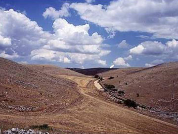 Lamalunga 01 