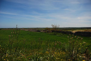 MURGIA DEL CERASO 