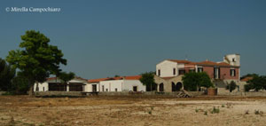 Masseria San Magno 1030x486 