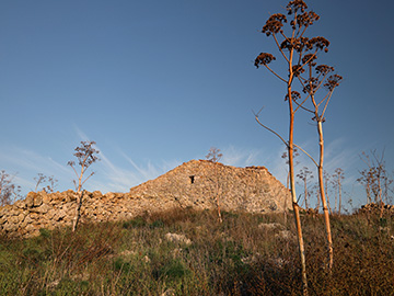 Muro a secco Ph Mario Brambilla 