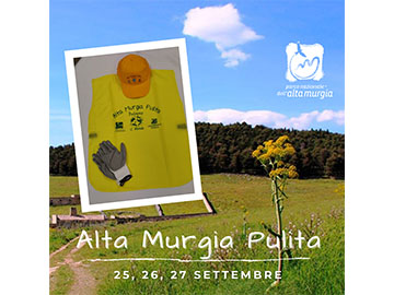 Picture Alta Murgia Pulita 