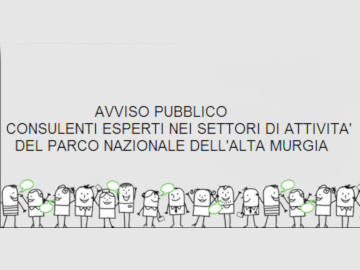 avviso pubblico consulenti 