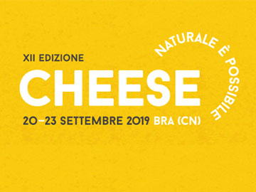 cheeseXII 