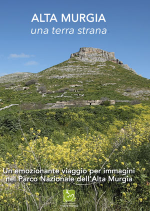 copertina DVD 