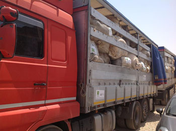 foto%20camion 