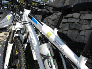 foto bici parco 
