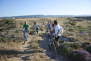 foto evento 