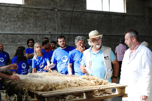 foto per comunicato 2 