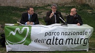img 1811bis 