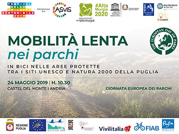 immagine comunicato 24 maggio Tavola disegno 1 