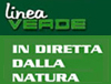 lineaverde 