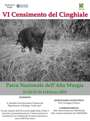 locandina cinghiop 