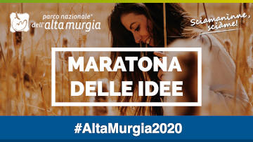 maratona delle idee 