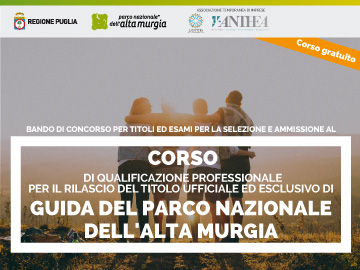 news corso guide 