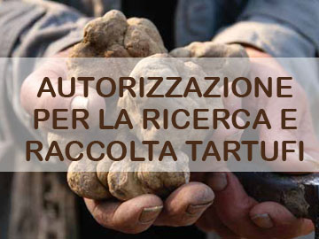 norme raccolta tartufo 