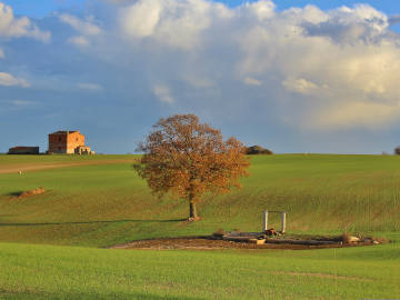 parco nazionale alta murgia 