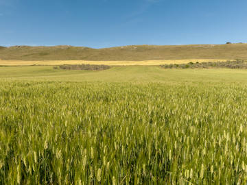 piano aib 360x170 