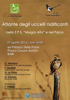 presentazione7p 