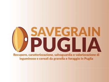 savegrain 