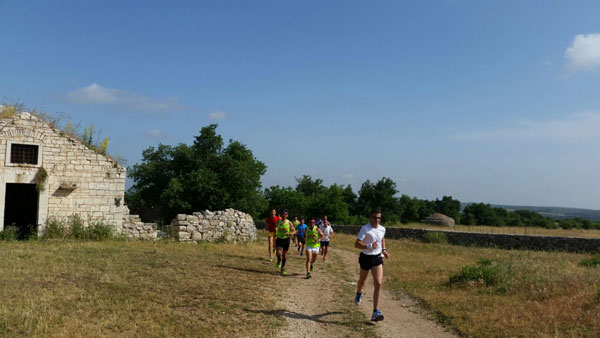 trail1 